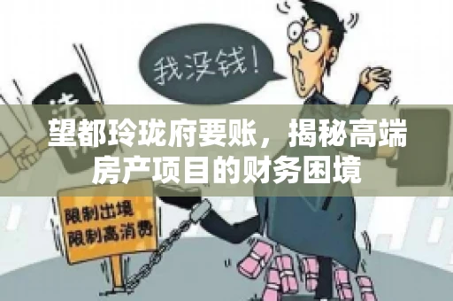 望都玲珑府要账，揭秘高端房产项目的财务困境