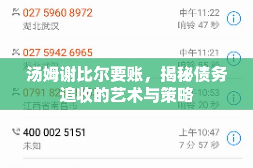 汤姆谢比尔要账，揭秘债务追收的艺术与策略