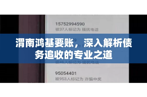 渭南鸿基要账，深入解析债务追收的专业之道