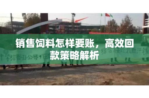 销售饲料怎样要账，高效回款策略解析