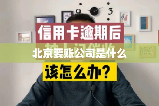 北京要账公司是什么