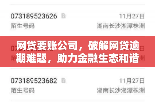 网贷要账公司,破解网贷逾期难题,助力金融生态和谐发展 网贷要账公司,破解网贷逾期难题,助力金融生态和谐发展