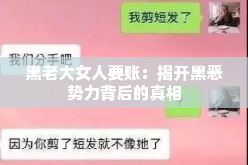 黑老大女人要账:揭开黑恶势力背后的真相 黑老大女人要账:揭开黑恶势力背后的真相