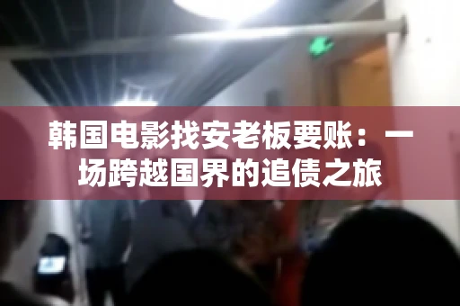 韩国电影找安老板要账:一场跨越国界的追债之旅 韩国电影找安老板要账:一场跨越国界的追债之旅