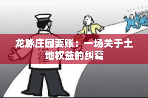 龙脉庄园要账：一场关于土地权益的纠葛