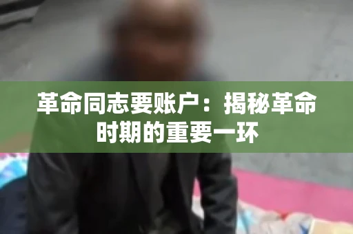 革命同志要账户：揭秘革命时期的重要一环