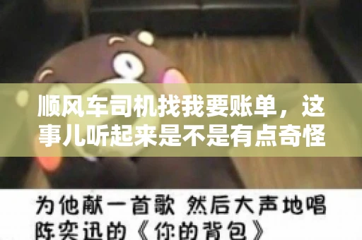 顺风车司机找我要账单，这事儿听起来是不是有点奇怪？但现实生活中，这样的案例还真不少。今天，我就来和大家聊聊这个话题，看看顺风车司机找乘客要账单的背后，究竟隐藏着什么。