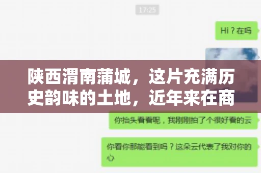 陕西渭南蒲城，这片充满历史韵味的土地，近年来在商业活动中也展现出了其独特的活力。其中，关于“陕西渭南蒲城要账”的话题，成为了不少企业关注的焦点。今天，我们就来聊聊这个话题，看看在蒲城，要账的那些事儿。