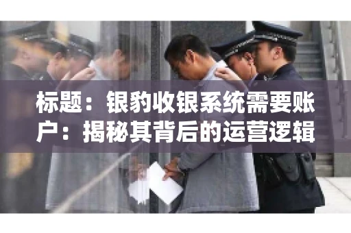 标题：银豹收银系统需要账户：揭秘其背后的运营逻辑
