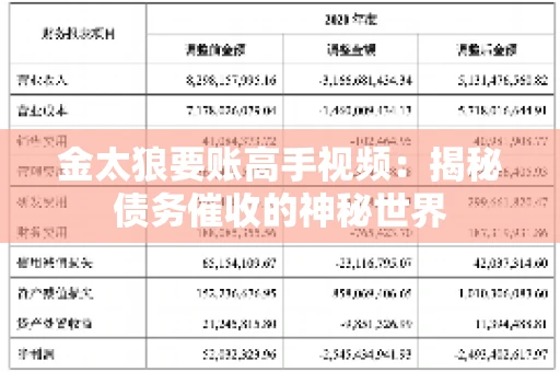 金太狼要账高手视频：揭秘债务催收的神秘世界