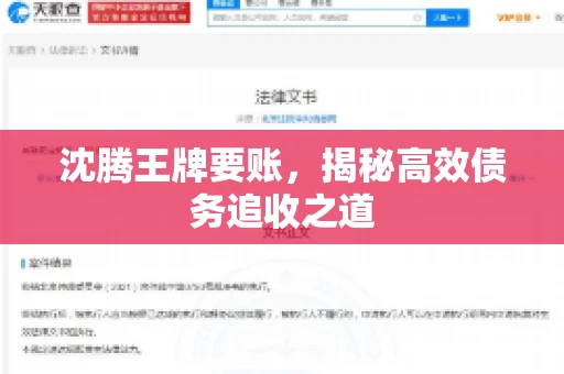 沈腾王牌要账，揭秘高效债务追收之道