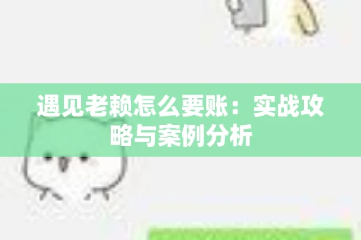 遇见老赖怎么要账：实战攻略与案例分析
