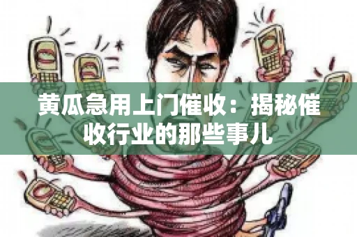 黄瓜急用上门催收：揭秘催收行业的那些事儿