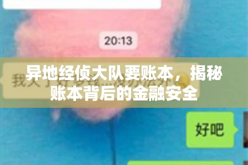 异地经侦大队要账本，揭秘账本背后的金融安全